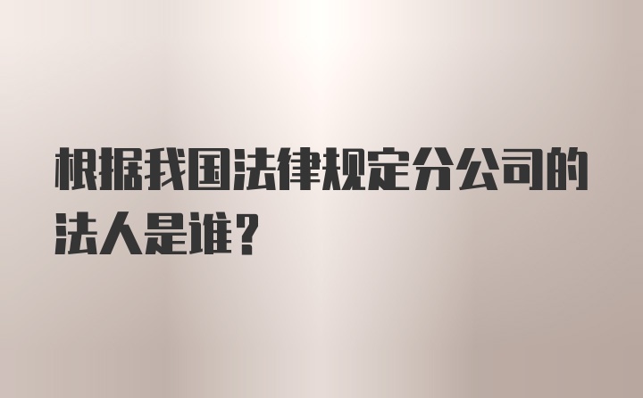 根据我国法律规定分公司的法人是谁？