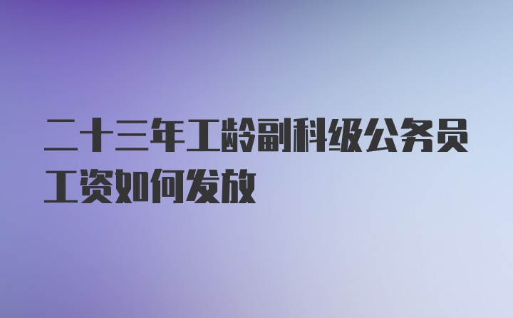 二十三年工龄副科级公务员工资如何发放