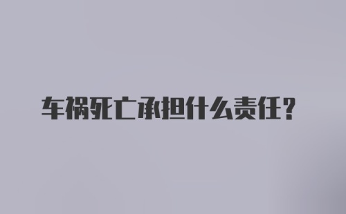 车祸死亡承担什么责任？