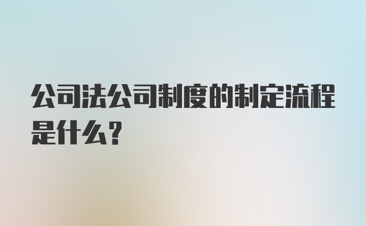 公司法公司制度的制定流程是什么？