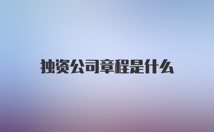 独资公司章程是什么