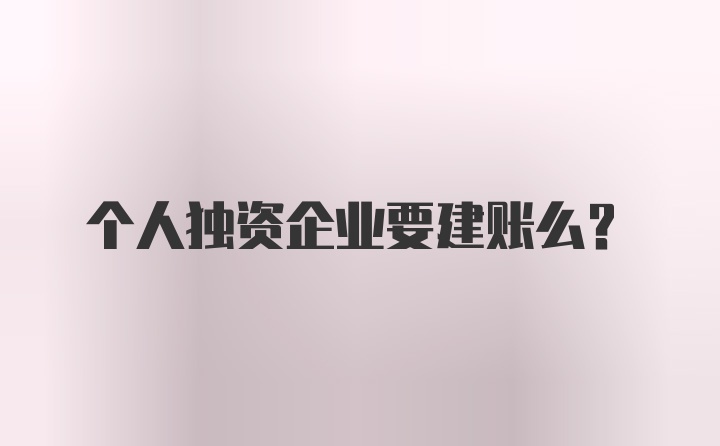 个人独资企业要建账么？