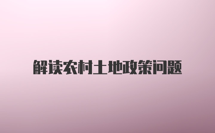 解读农村土地政策问题