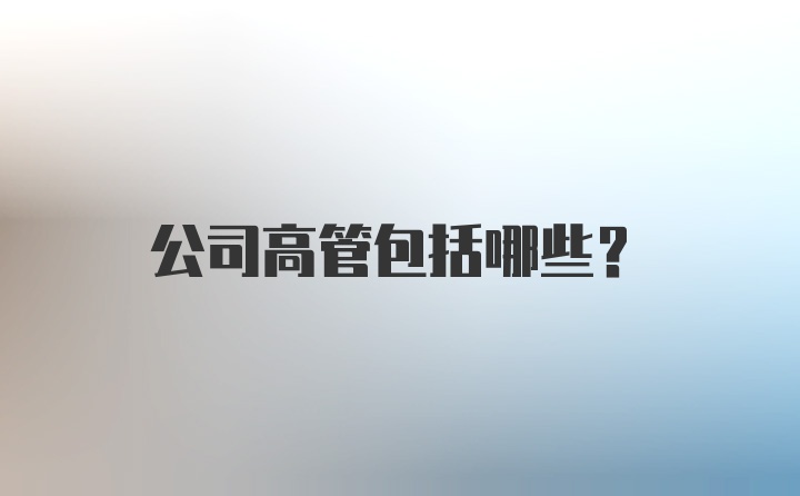 公司高管包括哪些？