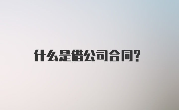 什么是借公司合同？