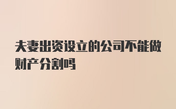 夫妻出资设立的公司不能做财产分割吗