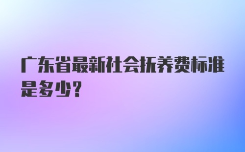 广东省最新社会抚养费标准是多少?