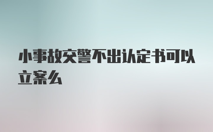 小事故交警不出认定书可以立案么