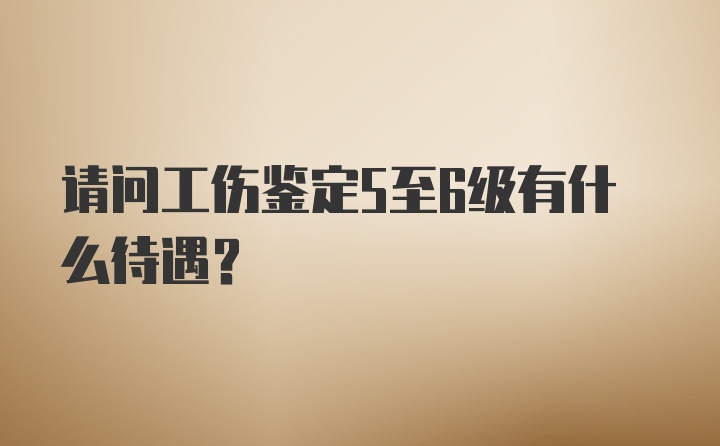 请问工伤鉴定5至6级有什么待遇？