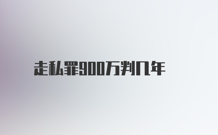 走私罪900万判几年