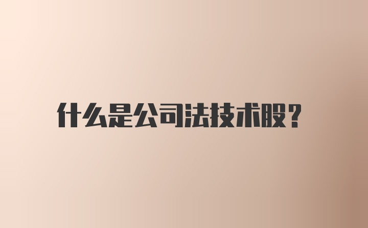 什么是公司法技术股？