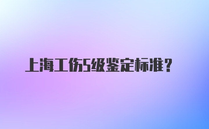 上海工伤5级鉴定标准？