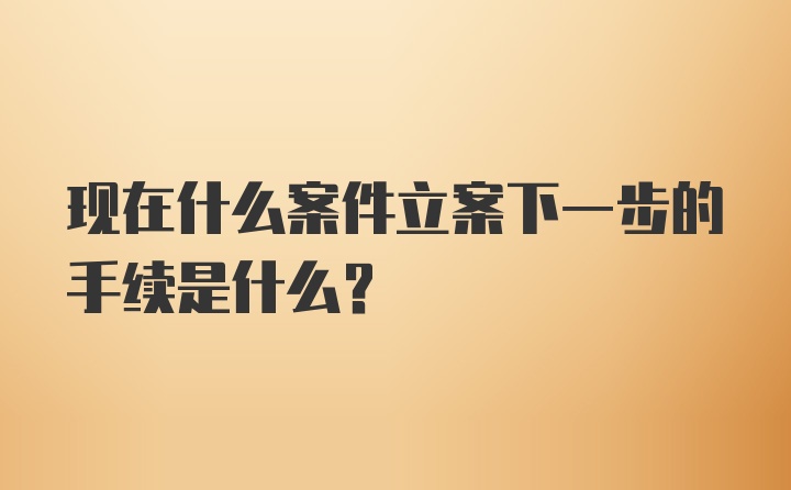 现在什么案件立案下一步的手续是什么？