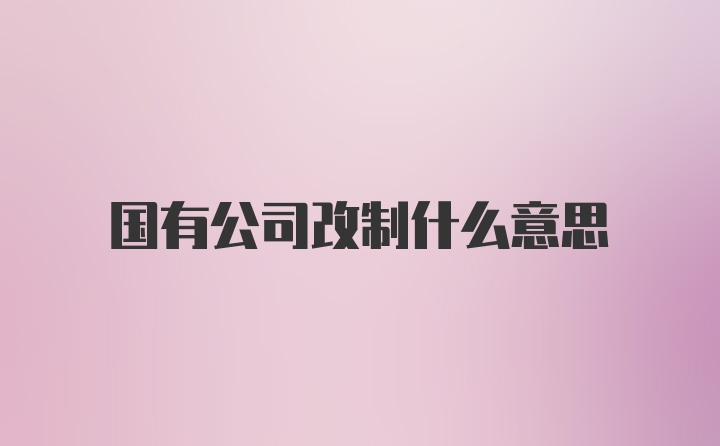 国有公司改制什么意思