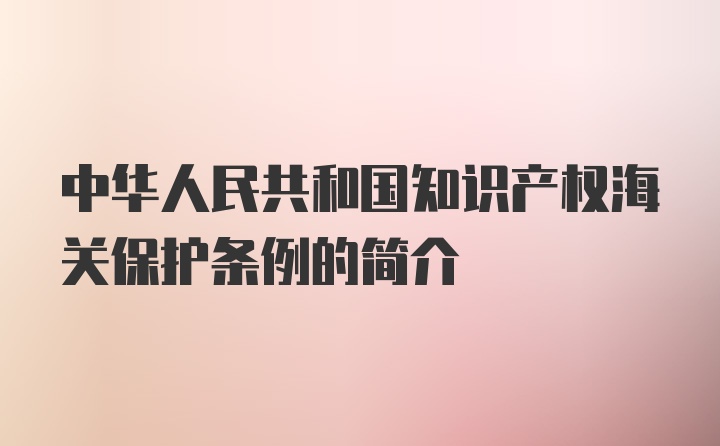 中华人民共和国知识产权海关保护条例的简介