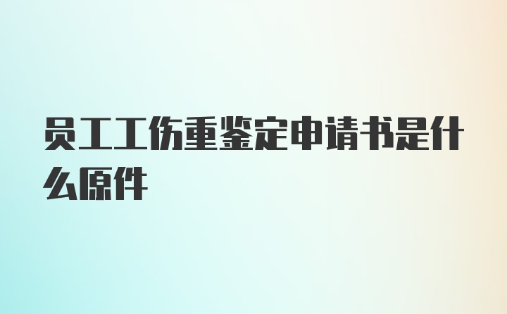 员工工伤重鉴定申请书是什么原件