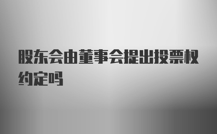 股东会由董事会提出投票权约定吗