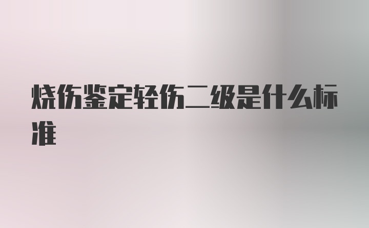 烧伤鉴定轻伤二级是什么标准