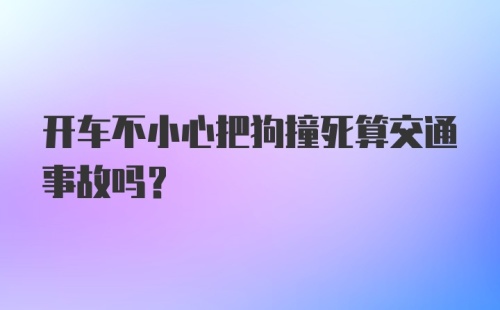 开车不小心把狗撞死算交通事故吗？