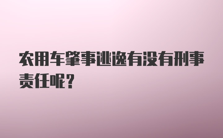 农用车肇事逃逸有没有刑事责任呢？