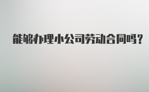 能够办理小公司劳动合同吗？