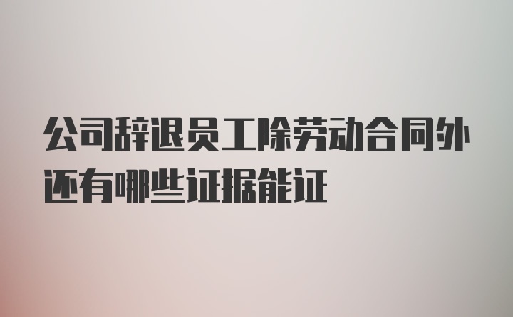 公司辞退员工除劳动合同外还有哪些证据能证