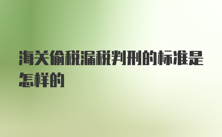 海关偷税漏税判刑的标准是怎样的