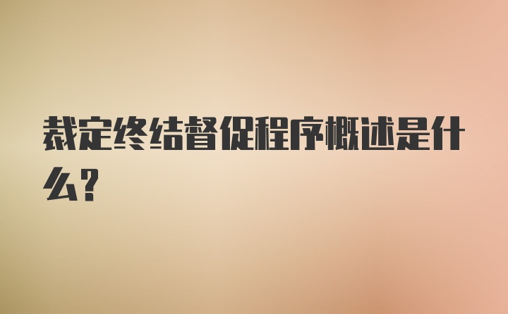 裁定终结督促程序概述是什么？