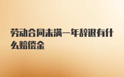 劳动合同未满一年辞退有什么赔偿金