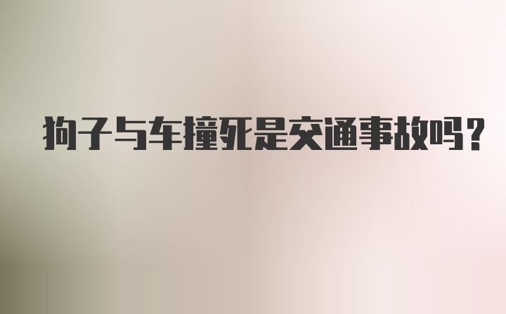 狗子与车撞死是交通事故吗?