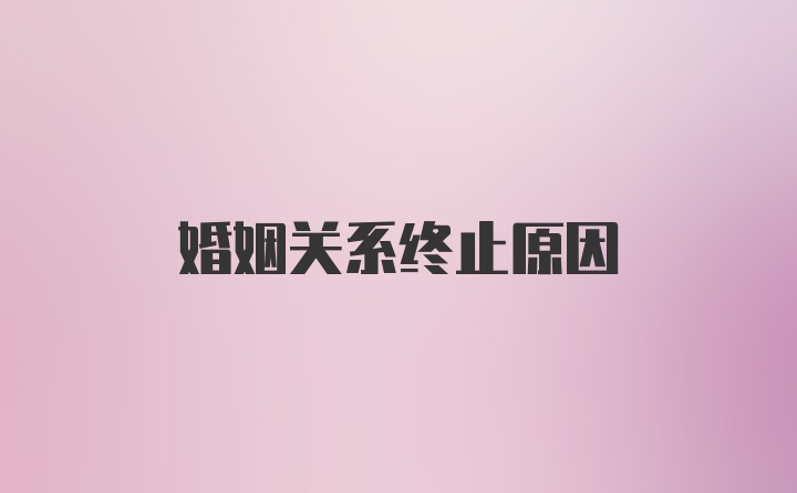 婚姻关系终止原因