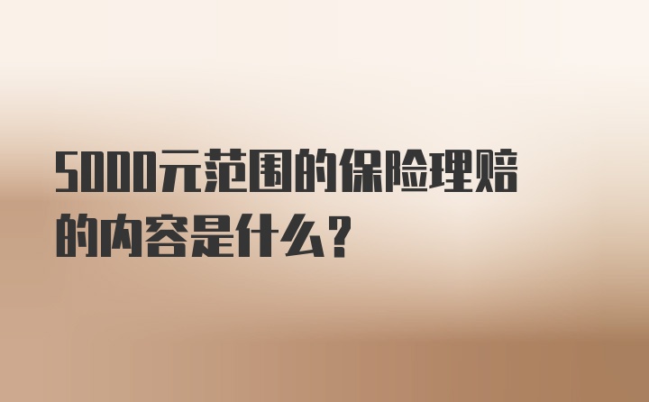 5000元范围的保险理赔的内容是什么？