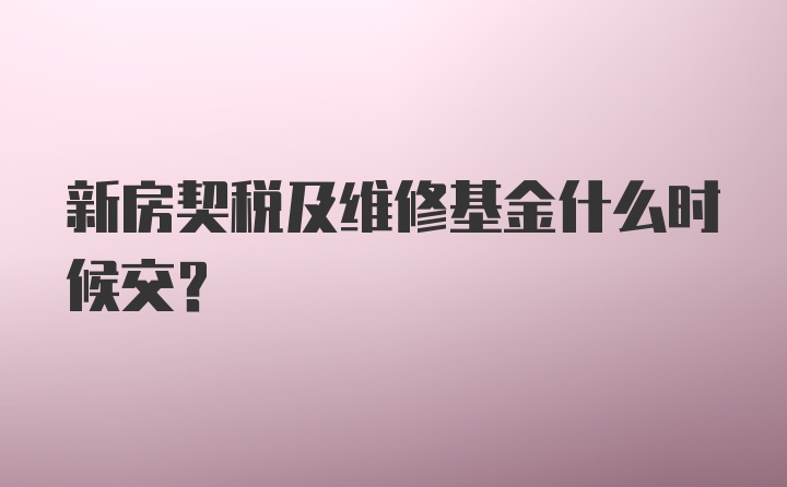 新房契税及维修基金什么时候交？