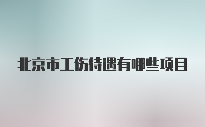 北京市工伤待遇有哪些项目