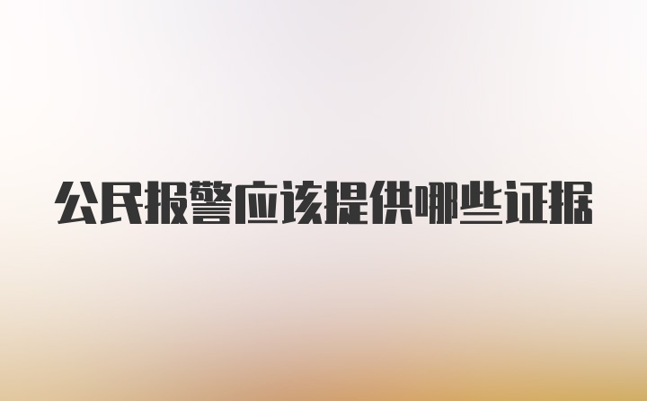 公民报警应该提供哪些证据