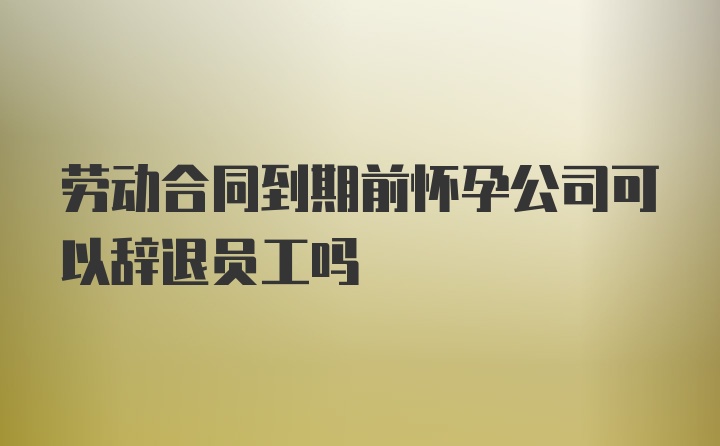 劳动合同到期前怀孕公司可以辞退员工吗