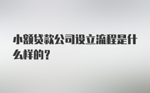 小额贷款公司设立流程是什么样的？