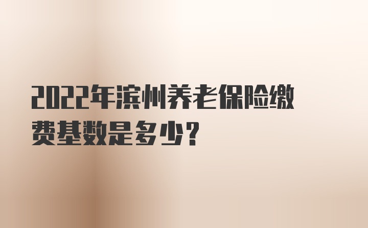 2022年滨州养老保险缴费基数是多少？