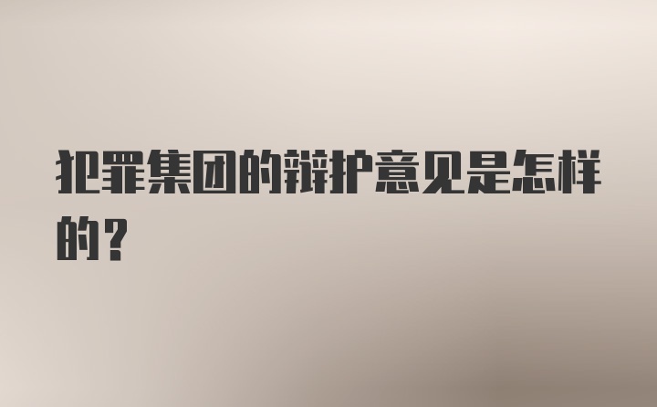 犯罪集团的辩护意见是怎样的?