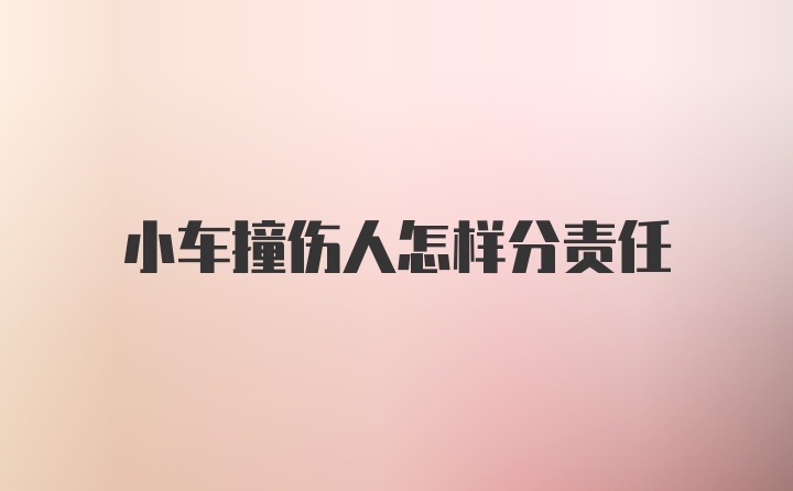 小车撞伤人怎样分责任