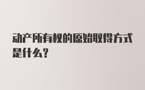 动产所有权的原始取得方式是什么？