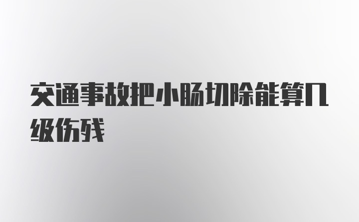 交通事故把小肠切除能算几级伤残