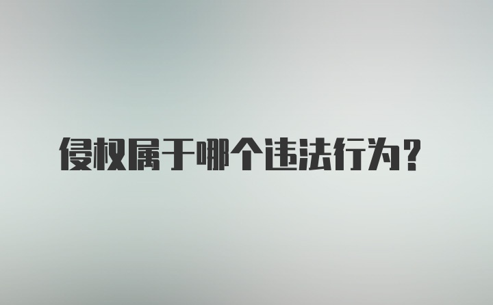 侵权属于哪个违法行为？