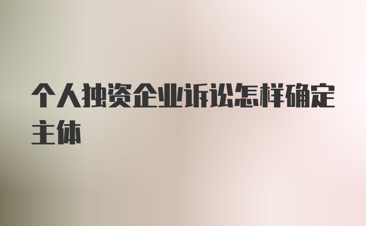 个人独资企业诉讼怎样确定主体