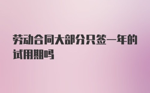 劳动合同大部分只签一年的试用期吗