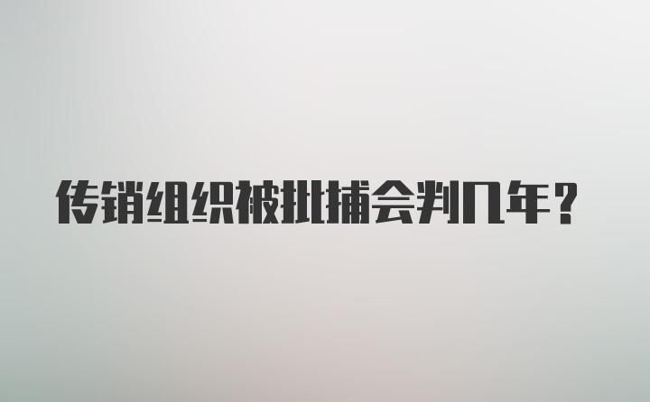 传销组织被批捕会判几年?