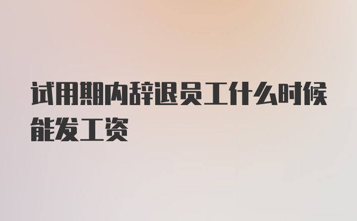 试用期内辞退员工什么时候能发工资