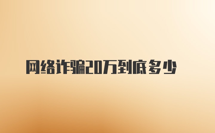 网络诈骗20万到底多少