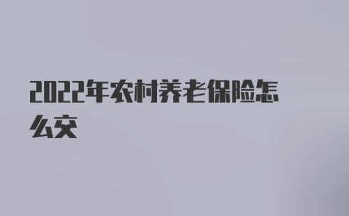 2022年农村养老保险怎么交