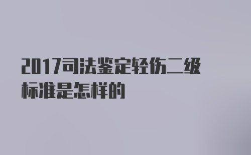 2017司法鉴定轻伤二级标准是怎样的